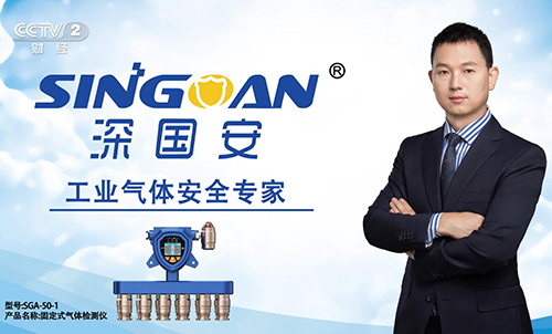 深國(guó)安可燃?xì)怏w檢測(cè)儀